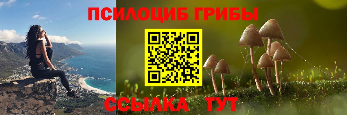 Хабаровск  Галлюциногенные грибы Magic Shrooms  Галлюциногенные грибы MAGIC MUSHROOMS  Вход с VPN 