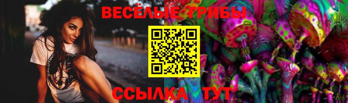 Псилоцибиновые грибы ЛСД Хабаровск